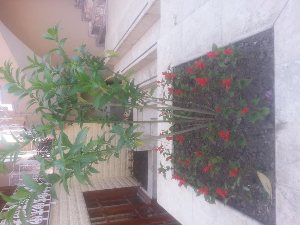 Lanova Hotel Kemer Exterior photo